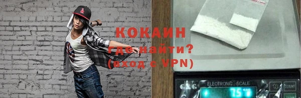 мдпв Верхний Тагил