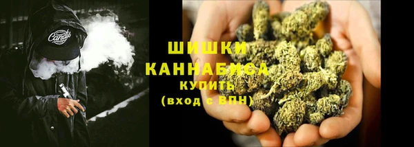 мдпв Верхний Тагил