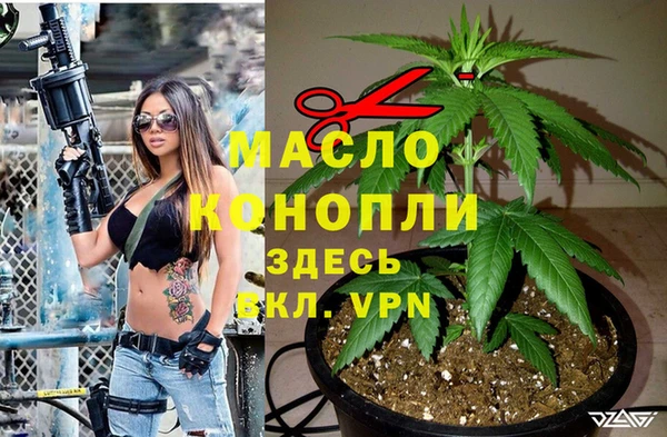 мдпв Верхний Тагил