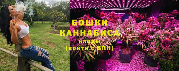мдпв Верхний Тагил